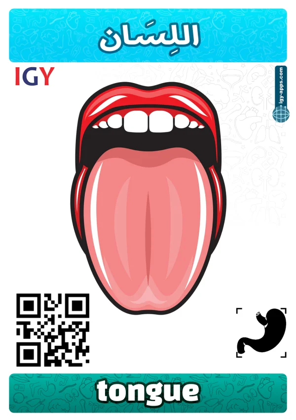 لسان — Tongue