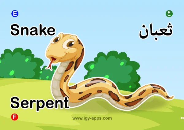 ثعبان — Snake