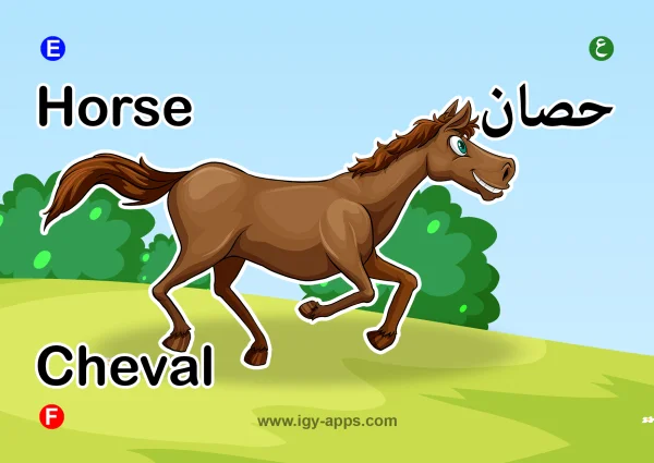 حصان — Horse