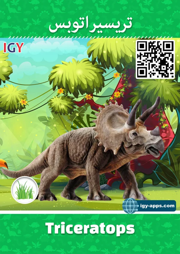 Triceratops — Triceratops / تريسيراتوبس