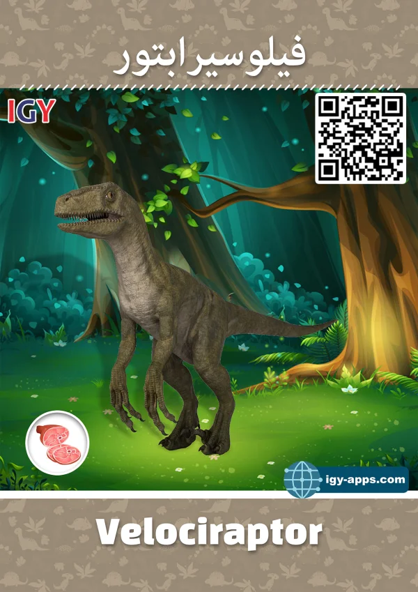 Velociraptor — Velociraptor / فيلوسيرابتور