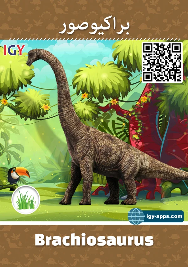 Brachiosaurus — Brachiosaurus / براتشيوصور