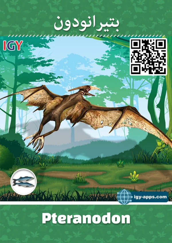 Pteranodon — Pteranodon / بتيرانودون
