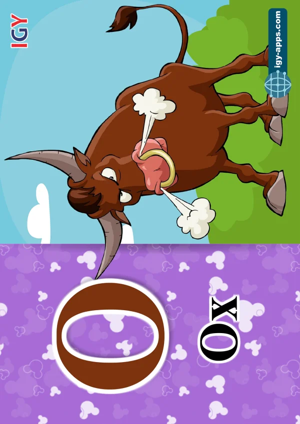 ثور — Ox — حرف O