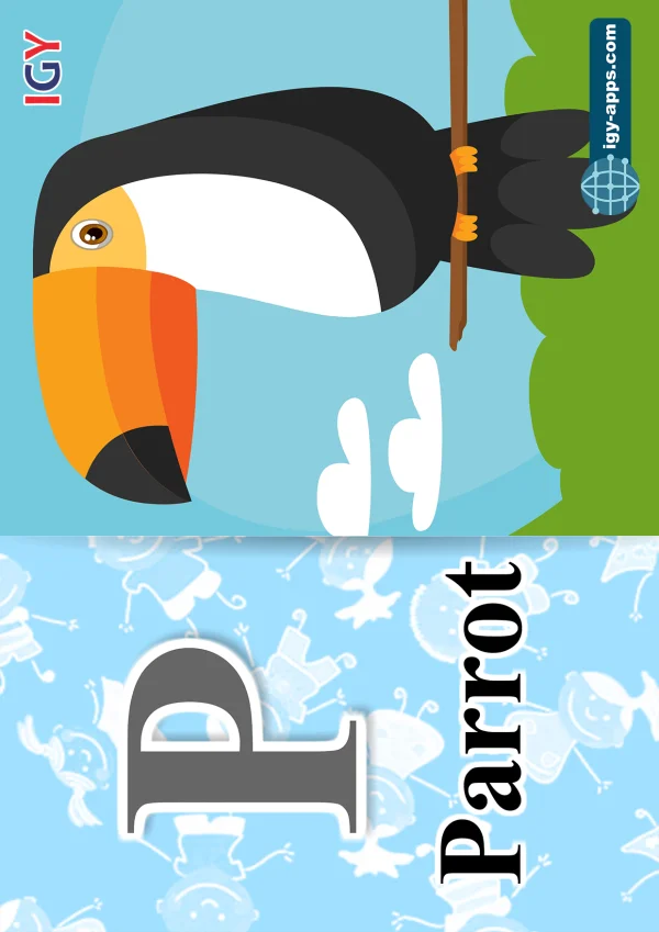 ببغاء — Parrot — حرف P