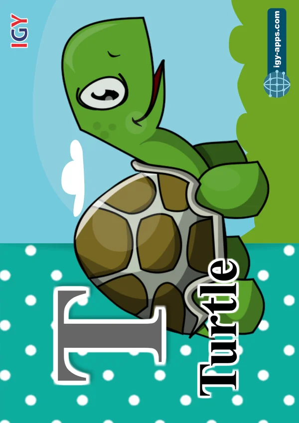 سلحفاة — Turtle — حرف T