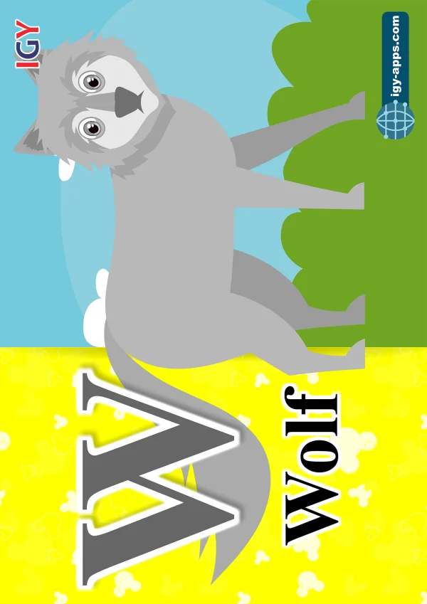 ذئب — Wolf — حرف W