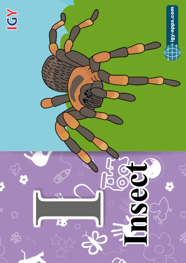 حشرة — Insect — حرف I
