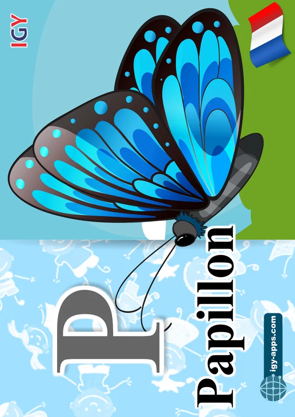 فراشة — Butterfly — حرف P