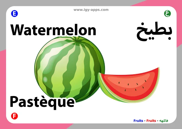 Wassermelone — Watermelon / بطيخ