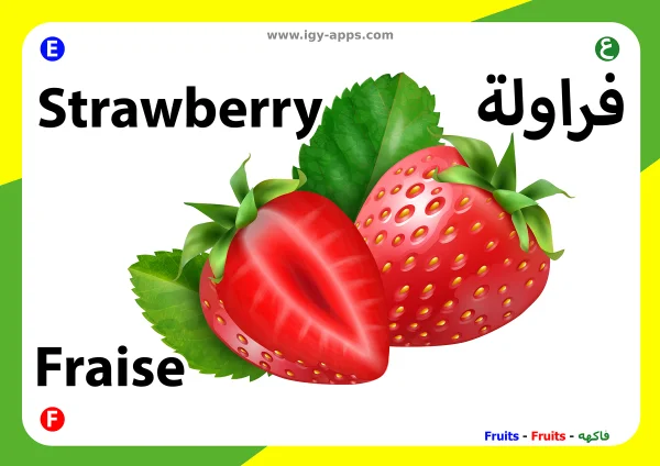 Erdbeere — Strawberry / فراولة