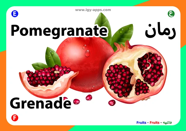 Granatapfel — Pomegranate / رمان