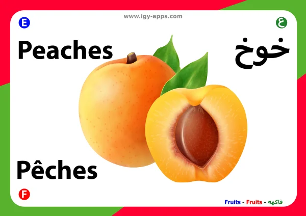 Pfirsich — Peach / خوخ