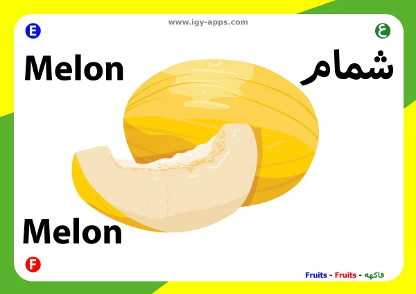 Melone — Melon / شمام