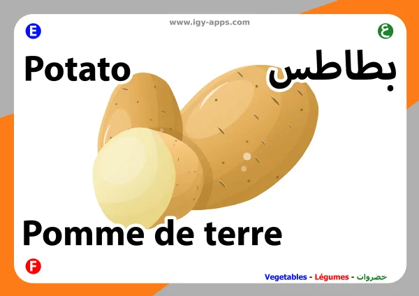 Kartoffel — Potato / بطاطس