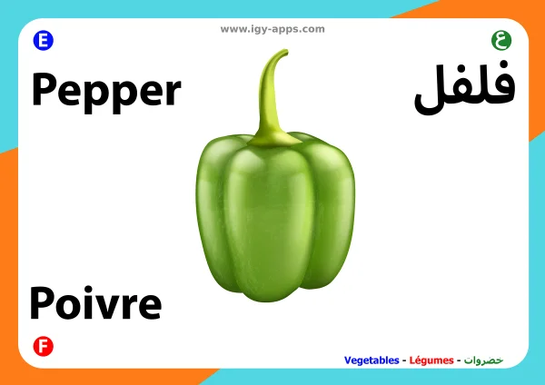 Paprika — Pepper / فلفل
