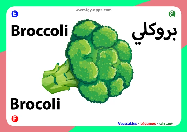 Brokkoli — Broccoli / بروكلي