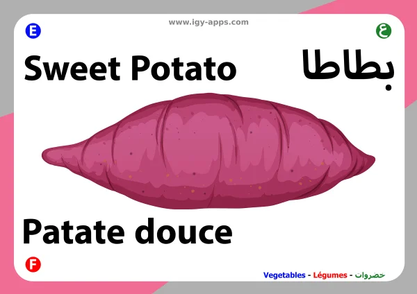Süßkartoffel — Sweet Potato / بطاطا حلوة