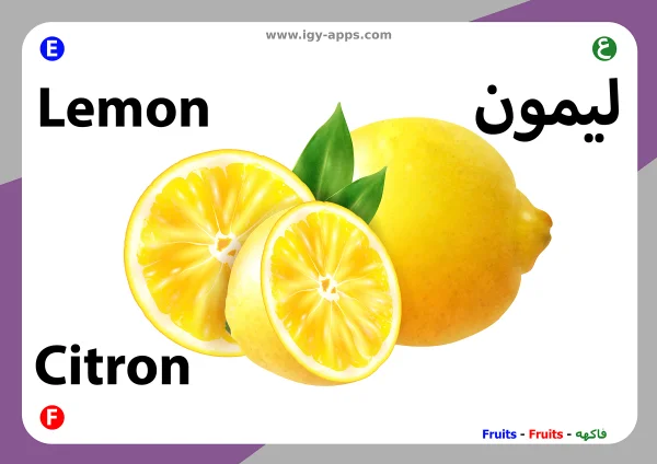 Zitrone — Lemon / ليمون