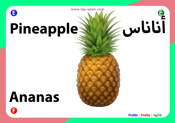 Ananas — Pineapple / أناناس