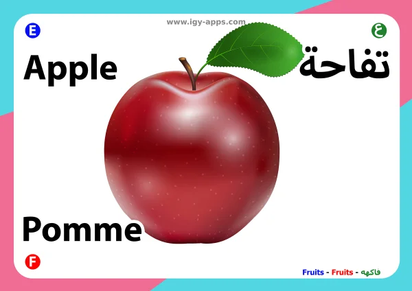 Apfel — Apple / تفاح