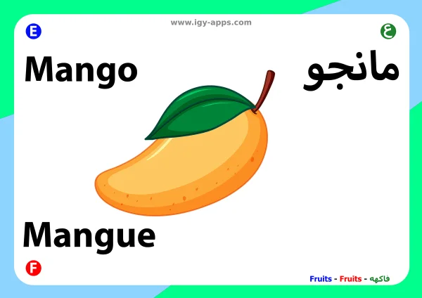 Mango — Mango / مانجو