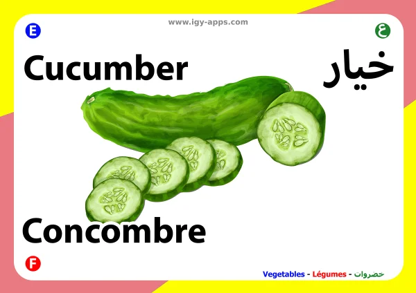 Gurke — Cucumber / خيار
