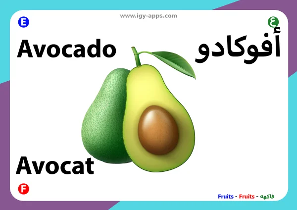 Avocado — Avocado / أفوكادو