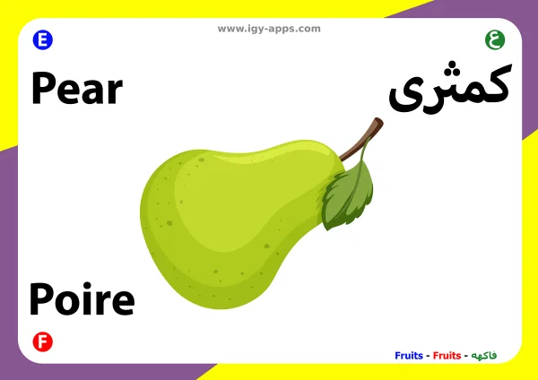 Birne — Pear / كمثرى