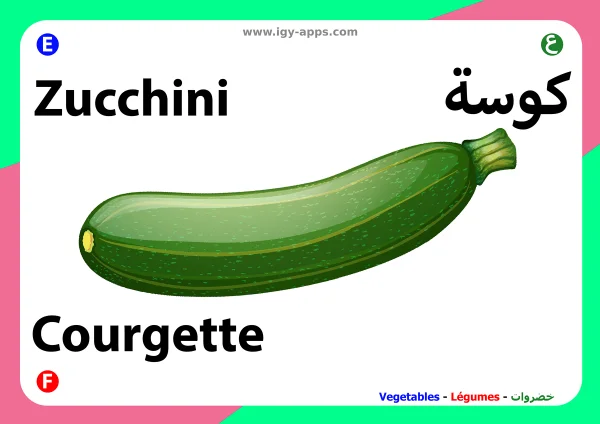 Zucchini — Zucchini / كوسة