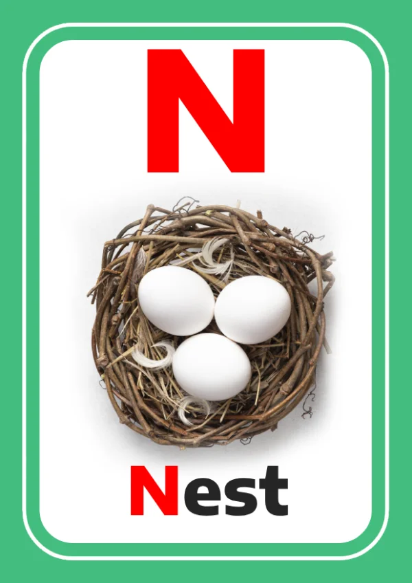 Nid — Nest / عش — Lettre N