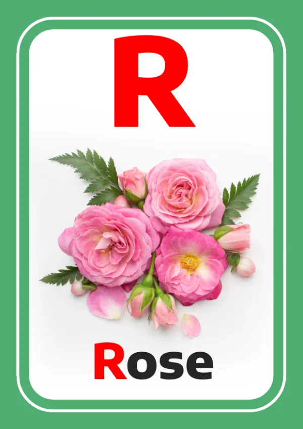 Rose — Rose / وردة — Lettre R