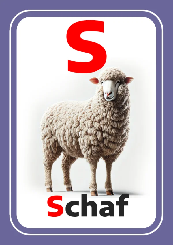 Mouton — Sheep / خروف — Lettre S