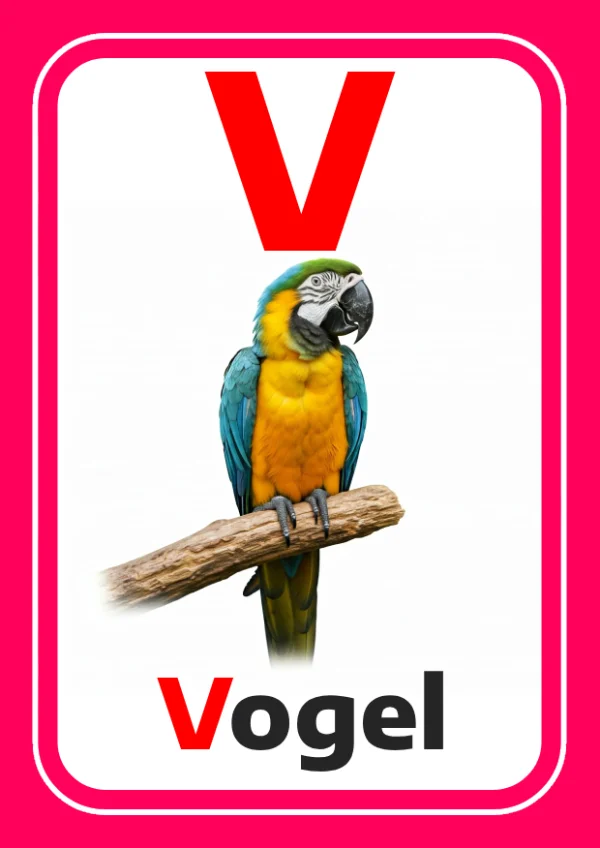 Oiseau — Bird / طائر — Lettre V