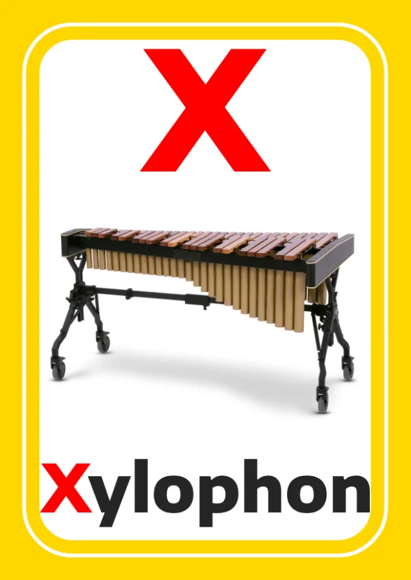 Xylophone — Xylophone / إكسليفون — Lettre X
