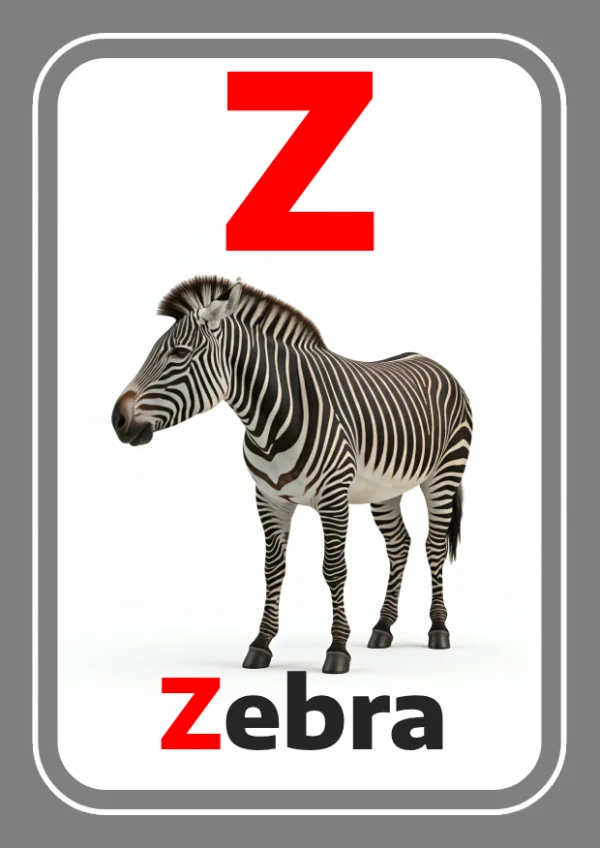 Zèbre — Zebra / حمار وحشي — Lettre Z