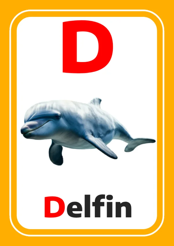Dauphin — Dolphin / دولفين — Lettre D