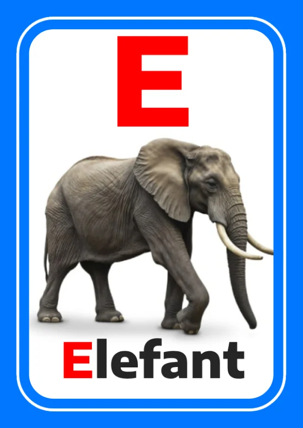 Éléphant — Elephant / فيل — Lettre E