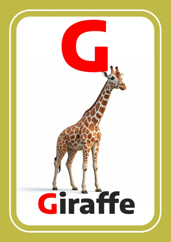 Girafe — Giraffe / زرافة — Lettre G