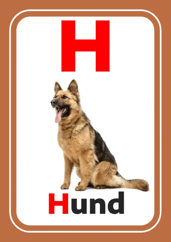 Chien — Dog / كلب — Lettre H