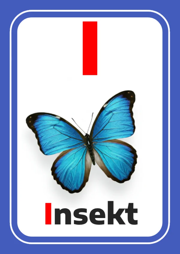 Insecte — Insect / حشرة — Lettre I