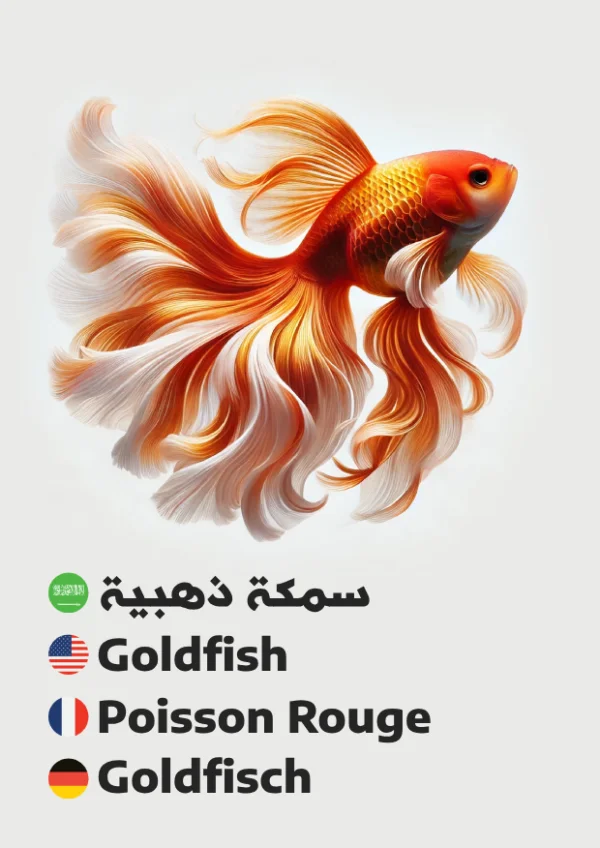 سمكة ذهبية — Goldfish