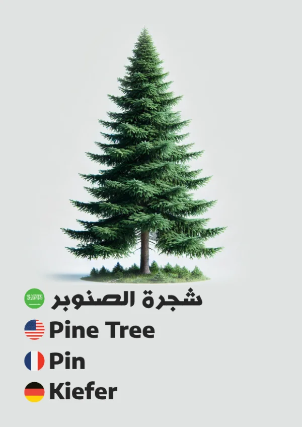 Kiefer — Pine Tree / شجرة الصنوبر