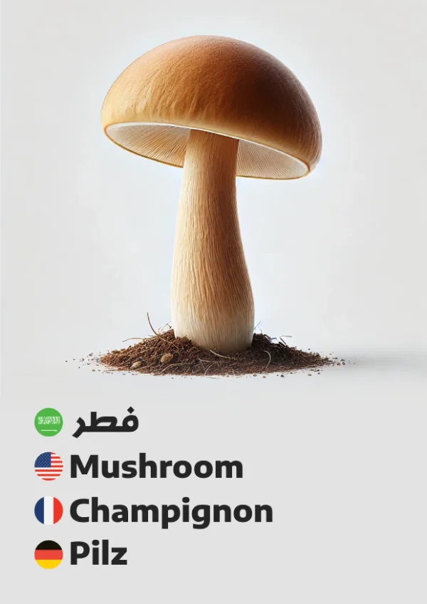 Pilz — Mushroom / فطر