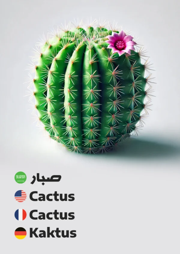 Kaktus — Cactus / صبار