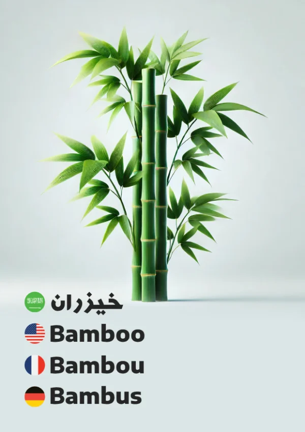 Bambus — Bamboo / خيزران