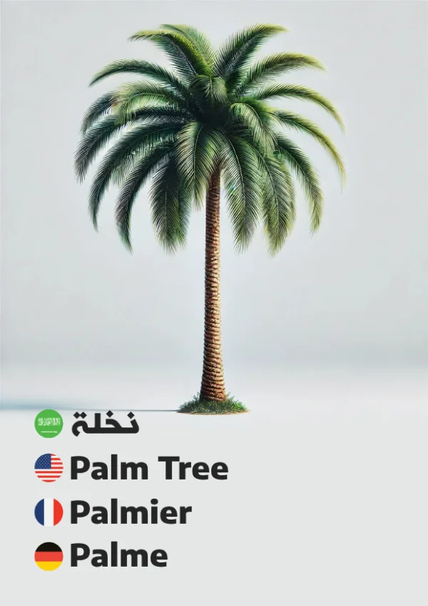 Palme — Palm Tree / نخلة