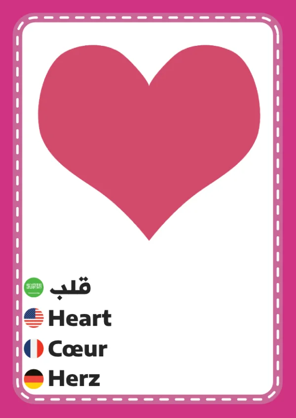 Herz — Heart / قلب