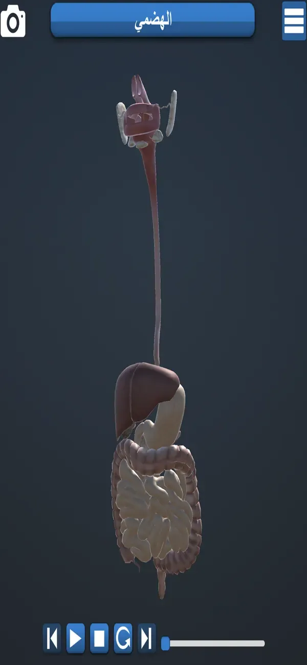 Anatomie Éducative 3D — 1