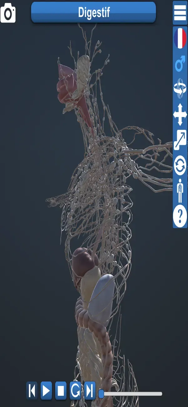 Anatomie Éducative 3D — 2
